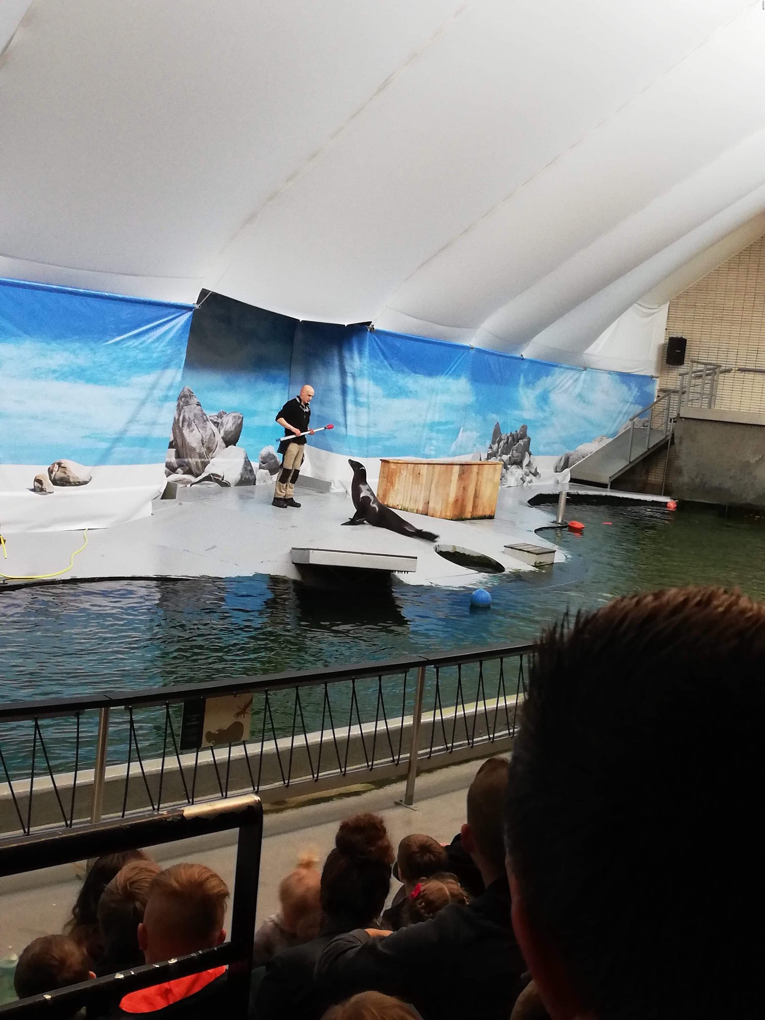 Sint-Martinus den XIIde - Zoo Antwerpen Kapoenen